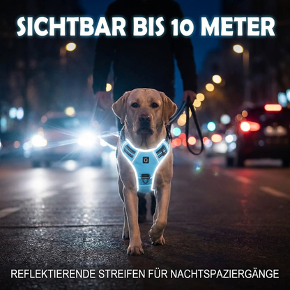 PfotenSanft Pro - Entlastungs- & Anti-Zieh-Geschirr