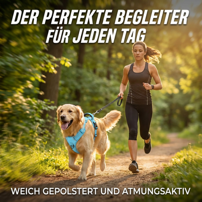 PfotenSanft Pro - Entlastungs- & Anti-Zieh-Geschirr