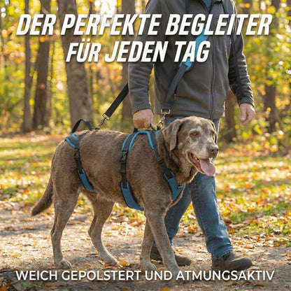 PfotenSanft 2.0 - Entlastungs- & Mobilitätsgeschirr