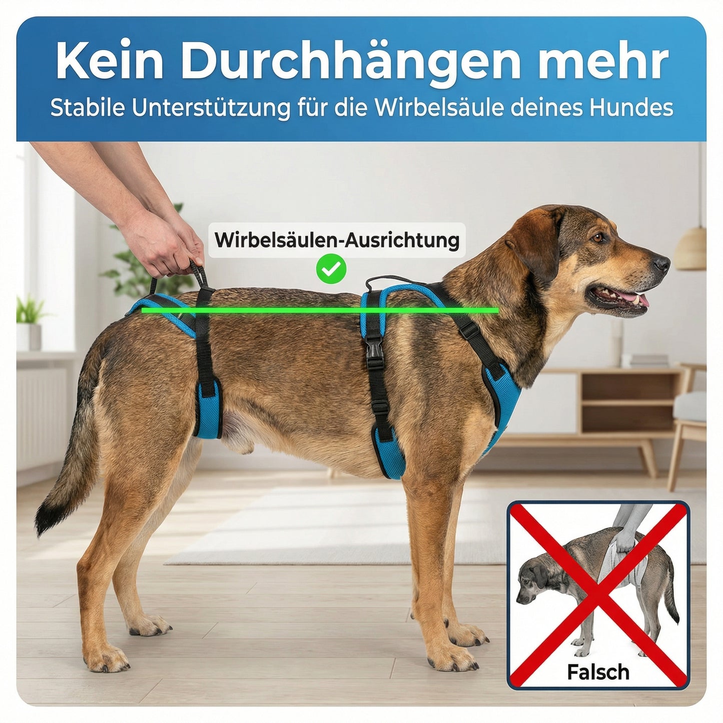 PfotenSanft 2.0 - Entlastungs- & Mobilitätsgeschirr