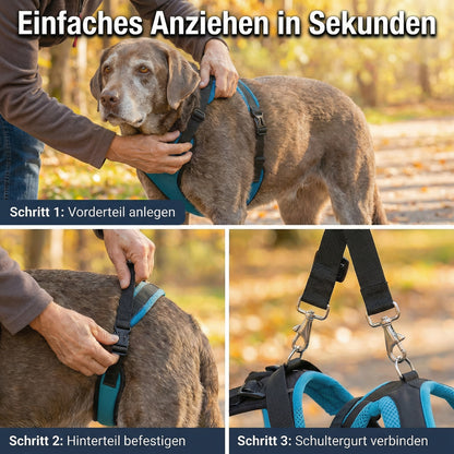 PfotenSanft 2.0 - Entlastungs- & Mobilitätsgeschirr