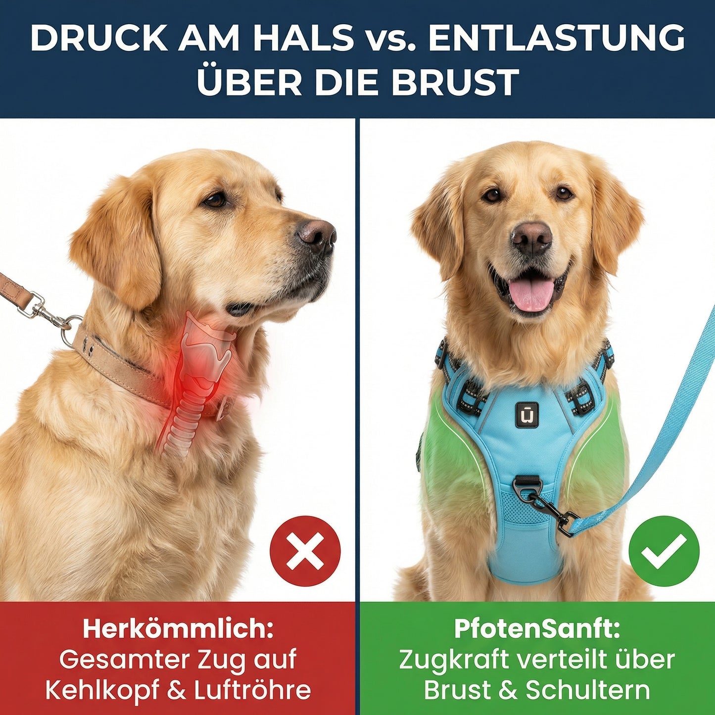 Orthopädisches Entlastungs-Geschirr