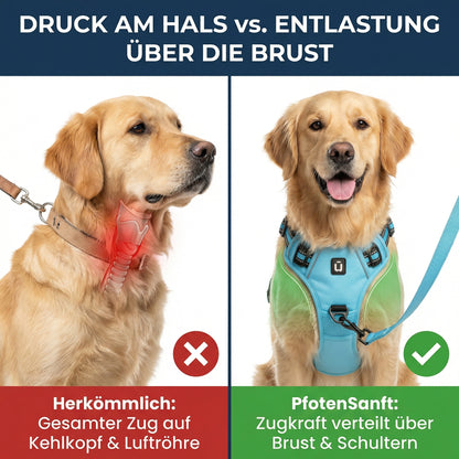 Orthopädisches Entlastungs-Geschirr