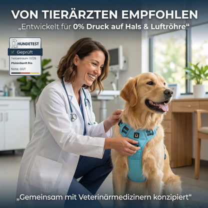Orthopädisches Entlastungs-Geschirr