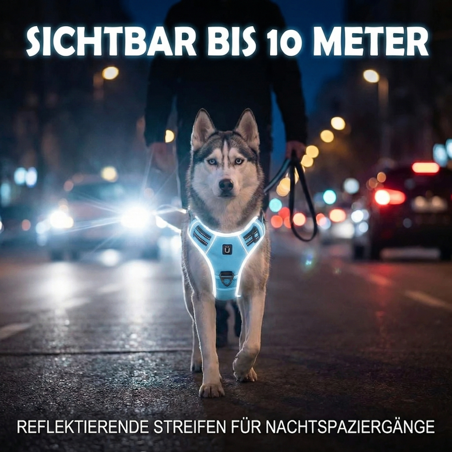 Anti-Zieh- & Entlastungsgeschirr
